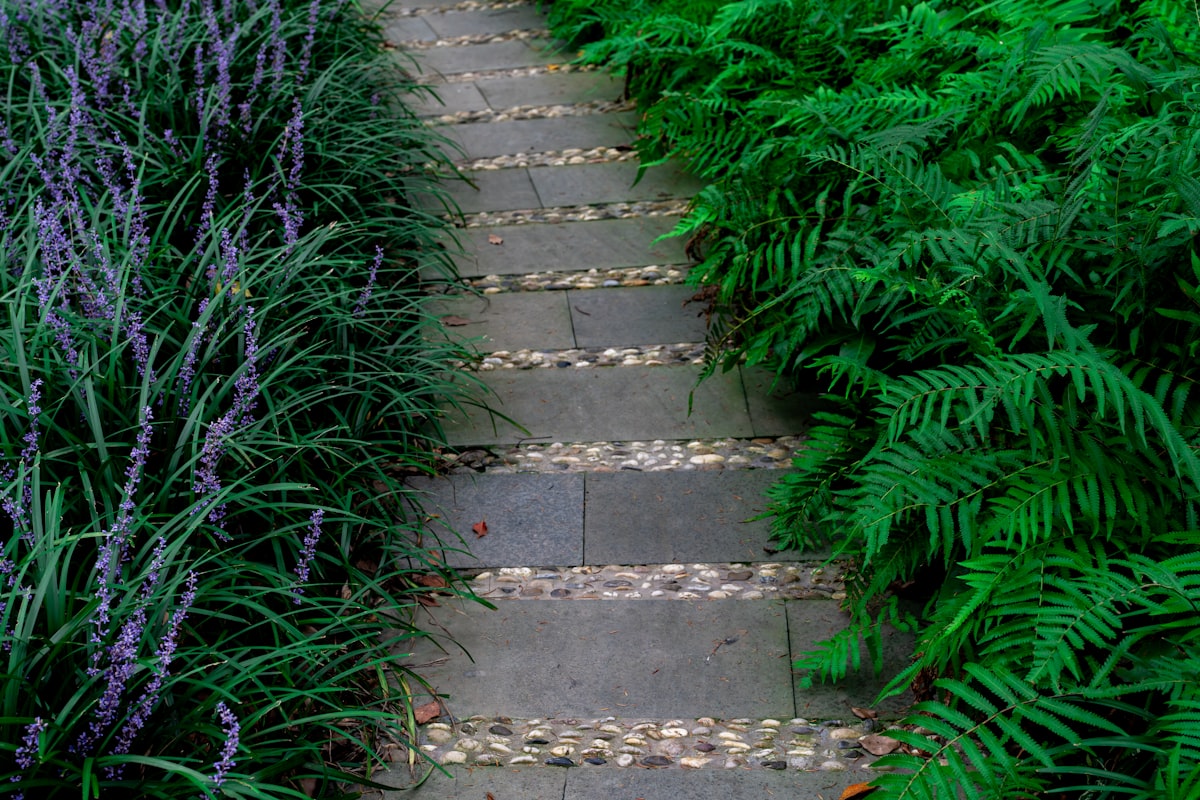 Real Jardín Botánico